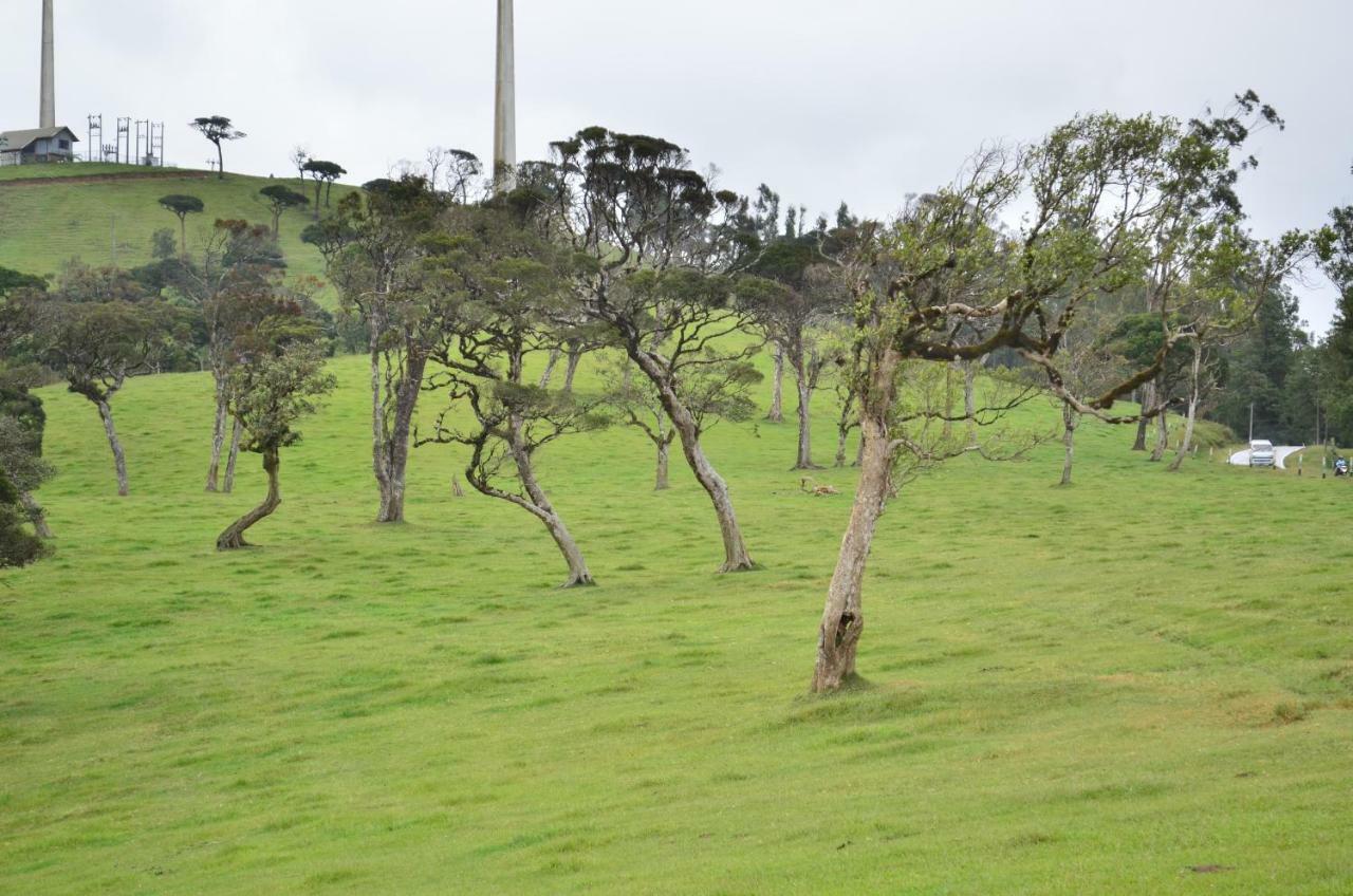 Yensfield Blackpool Nuwara Eliya Dış mekan fotoğraf