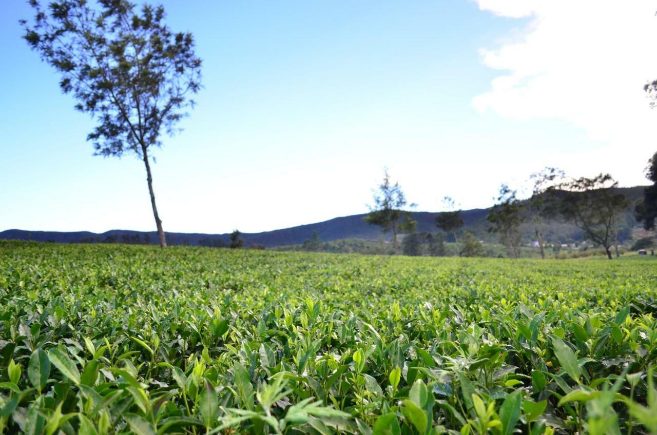 Yensfield Blackpool Nuwara Eliya Dış mekan fotoğraf