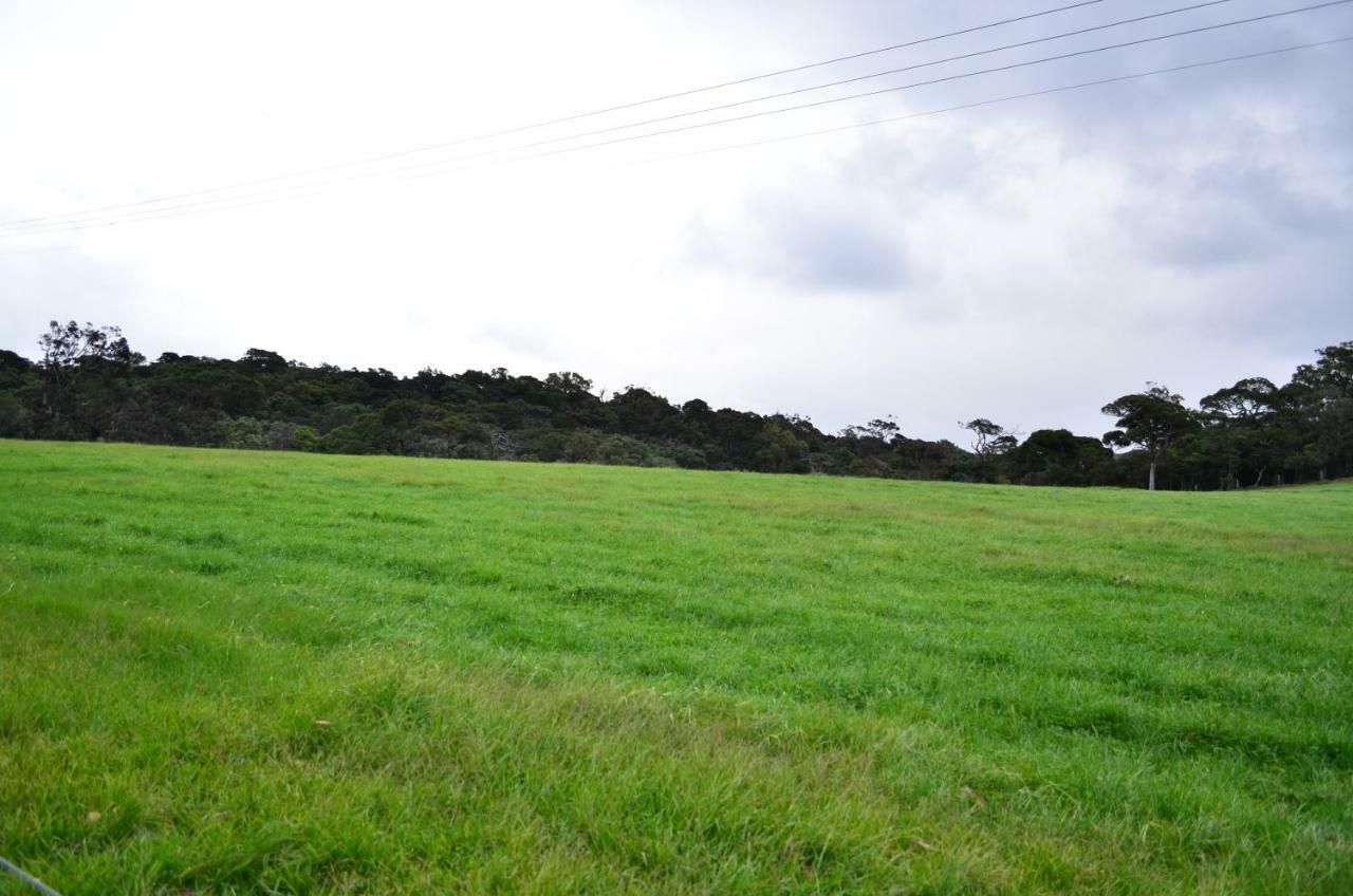 Yensfield Blackpool Nuwara Eliya Dış mekan fotoğraf